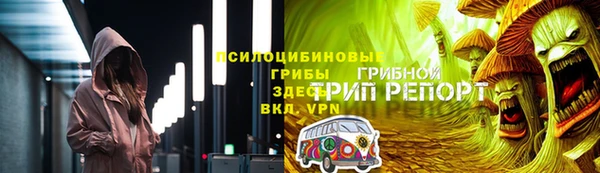 МДМА Ельня