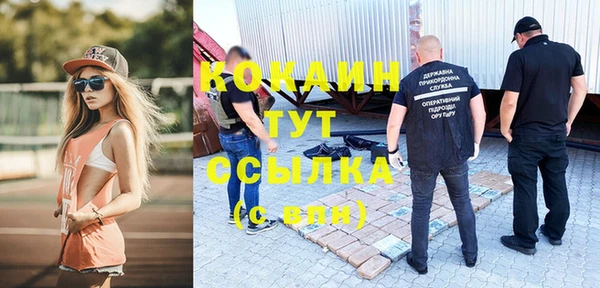 МДМА Ельня