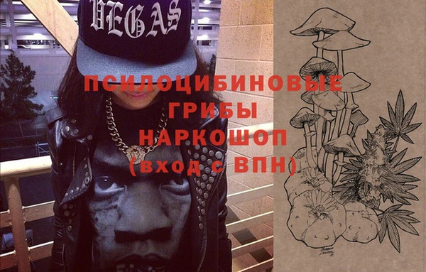 apvp Елабуга