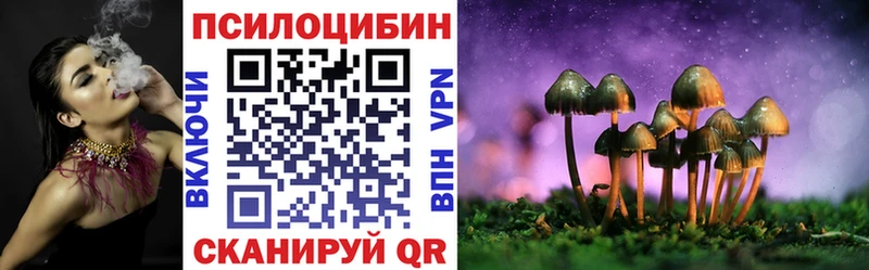 shop состав  как найти закладки  Мытищи  Псилоцибиновые грибы GOLDEN TEACHER  гидра вход 
