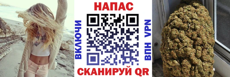 наркота  Мытищи  Бошки Шишки конопля 